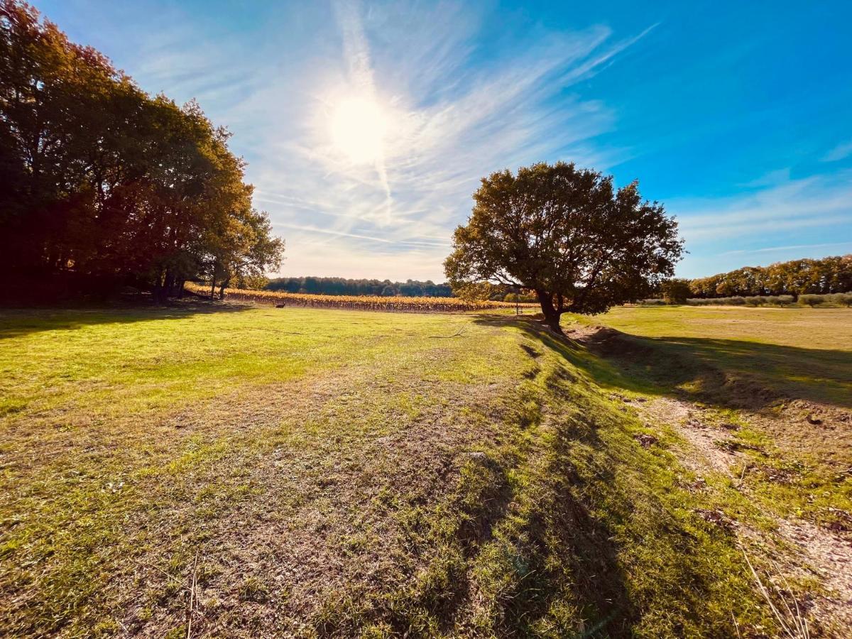 Domaine Amourella Aparthotel Lambesc Exteriör bild